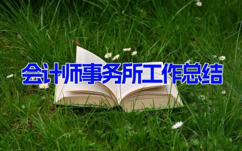 会计师事务所工作总结(5篇） 会计师事务所年终个人述职报告