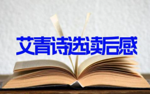 艾青诗选读后感300字 读了《艾青诗选》的收获