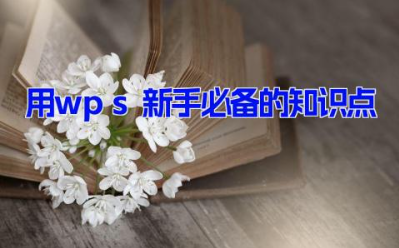 使用wps新手必备的知识点 wps的使用方法技巧科普