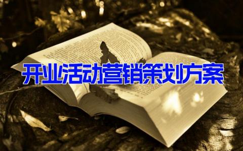 开业活动营销策划方案 开业大酬宾营销方案设计(15篇）