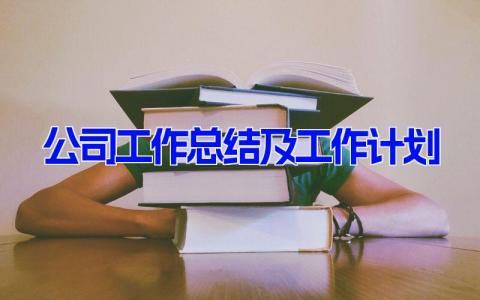 公司工作总结及工作计划 企业员工的工作总结(9篇）