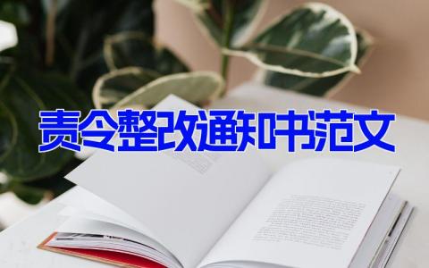 责令整改通知书范文 通知整改范文模板9篇