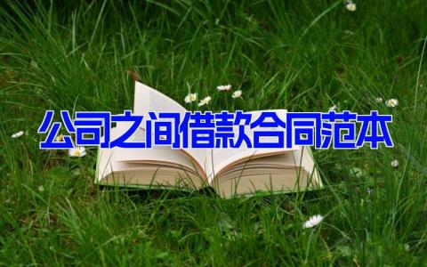 公司之间借款合同范本 公司借款协议书(14篇）