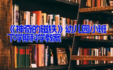 《神奇的磁铁》幼儿园小班下学期科学教案(6篇）