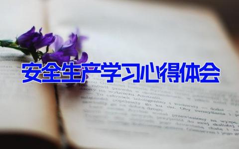 安全生产学习心得体会 最新生产安全感悟范文