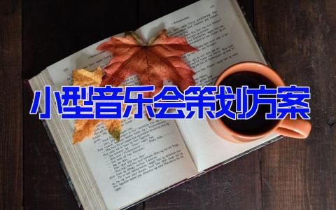 小型音乐会策划方案 音乐会策划及筹备工作(9篇）