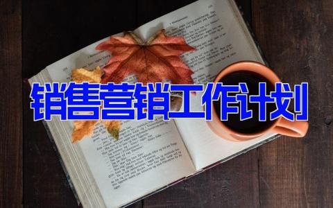 销售营销工作计划 个人销售工作计划书(5篇）