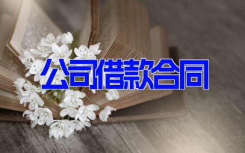 公司借款合同 最新公司借款协议范文(6篇）