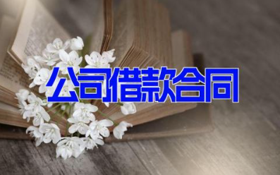 公司借款合同 最新公司借款协议范文(6篇）