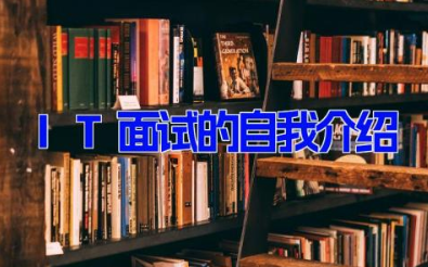 IT面试的自我介绍 IT职业人自我介绍(6篇）