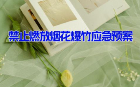禁止燃放烟花爆竹的应急预案(15篇）
