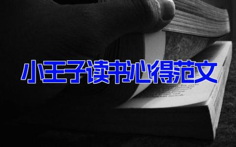 小王子读书心得范文 《小王子》读书心得和感想