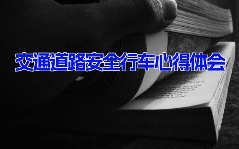 交通道路安全行车心得体会 安全行驶感悟体会18篇