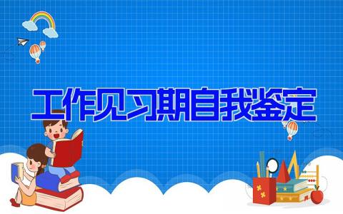 工作见习期自我鉴定 实习期工作总结11篇