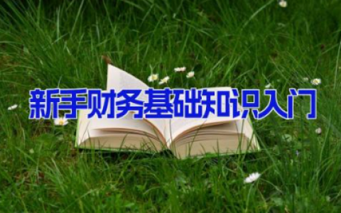 新手财务基础知识入门 新手出纳入门基础知识