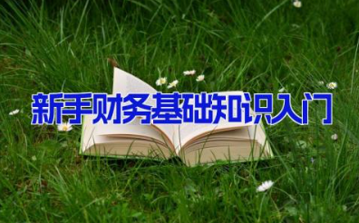 新手财务基础知识入门 新手出纳入门基础知识