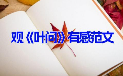 观《叶问》有感范文800字10篇 《叶问》观后感范文