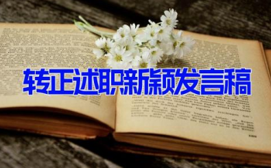 转正述职新颖发言稿 最新转正述职报告(6篇）