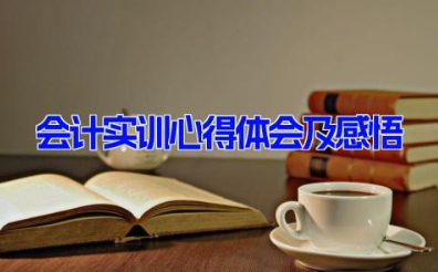 会计实训心得体会及感悟 会计实训的收获与心得