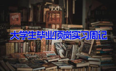 大学生毕业顶岗实习周记 毕业生岗位实习周记范文