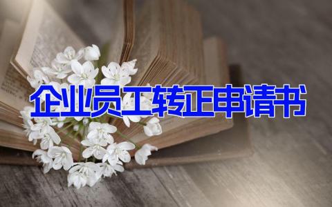 企业员工转正申请书(11篇）