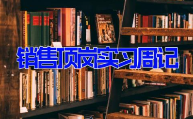 销售顶岗实习周记 销售实习周记优秀范文