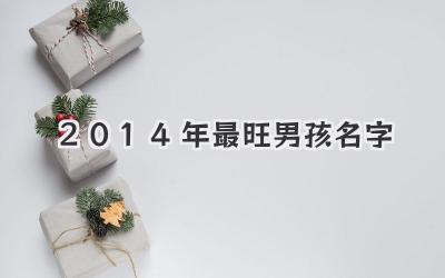 2014年最旺男孩名字