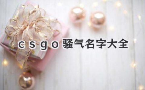 csgo骚气名字大全