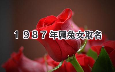 1987年属兔女取名