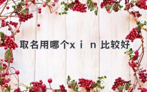 取名用哪个xin比较好